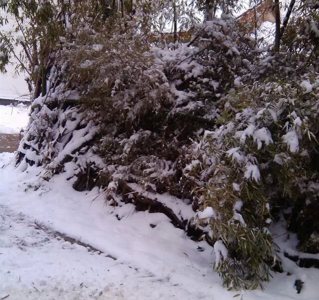 朋友天天喊下雪冷，特么我想说靖西热得要脱掉外套 - 靖西市·靖西网