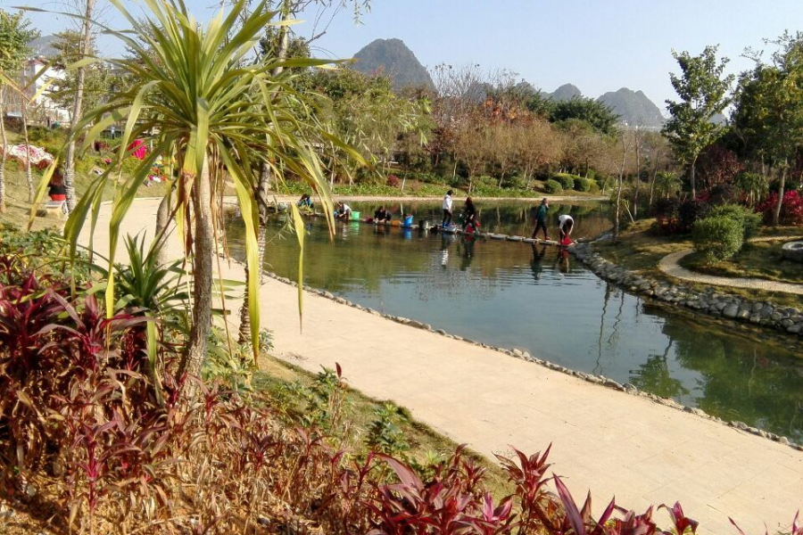 周末相约去湿地公园看“美女”们洗衣服 - 靖西市·靖西网