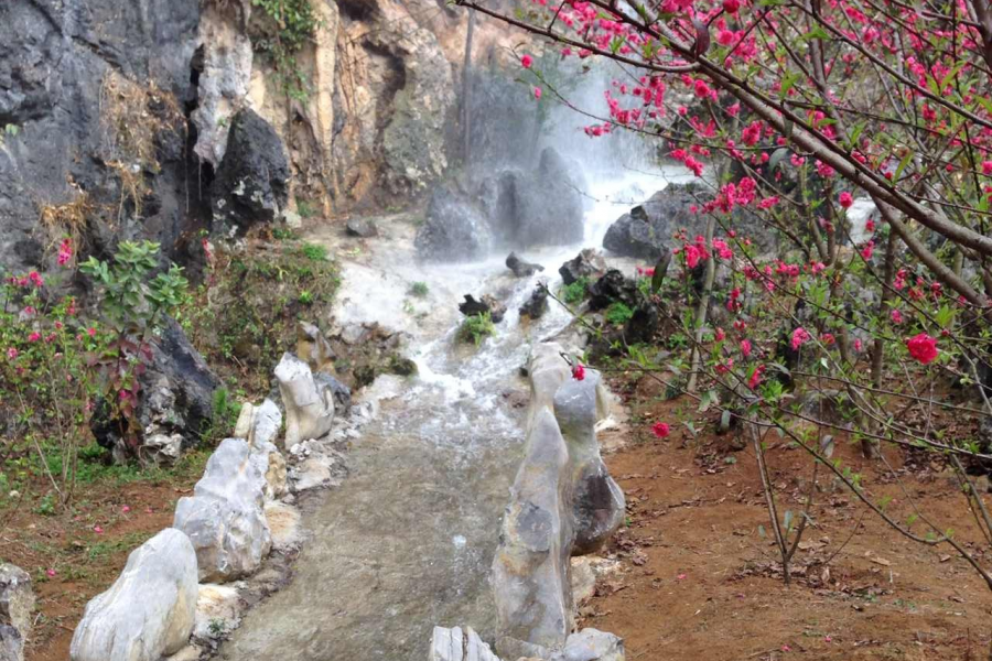 春节桃花谷桃花盛开，如果再有其它可玩的东西就更好了 - 靖西市·靖西网