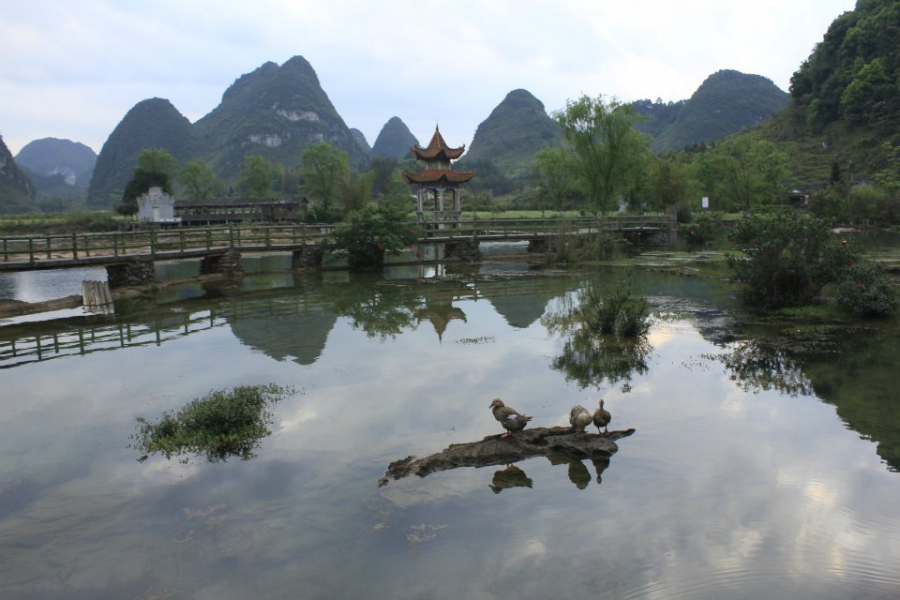 龙潭鹅泉风景区，是实实在在的漂亮的靖西风光 - 靖西市·靖西网