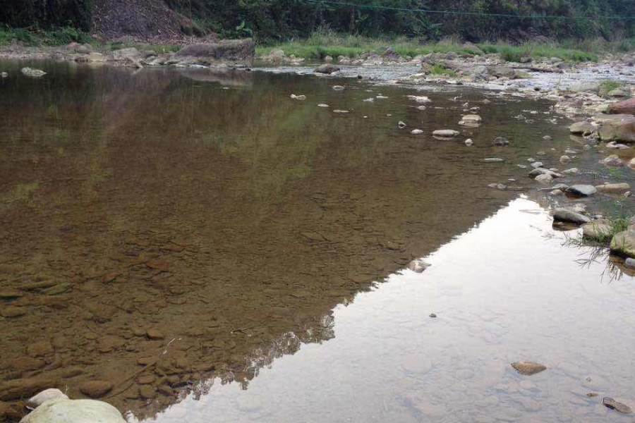 在靖西发现你身边随处可见的美景，自然！！！ - 靖西市·靖西网