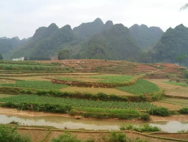 家乡山清绿水，可惜明天又出发到外地打工了。。。。。 - 靖西市·靖西网