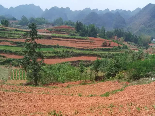 家乡山清绿水，可惜明天又出发到外地打工了。。。。。 - 靖西市·靖西网