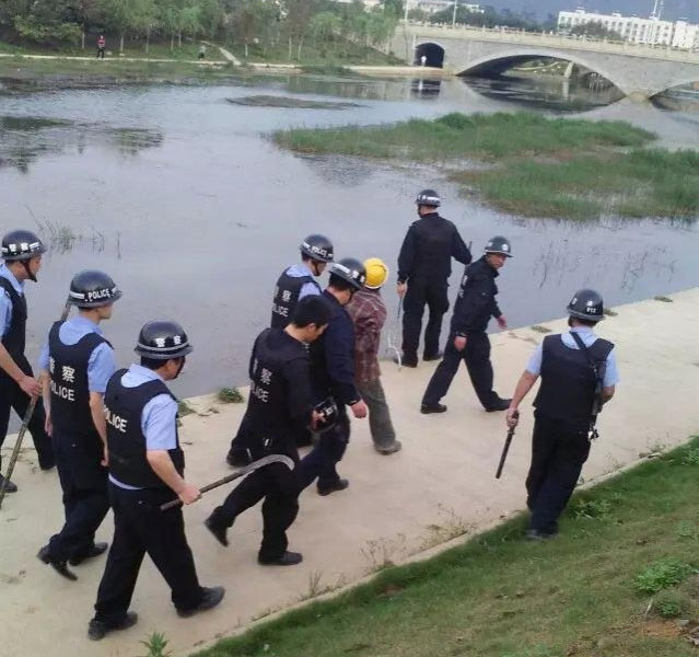 这是什么情况，吓死人鸟 - 靖西市·靖西网