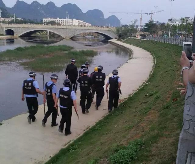 这是什么情况，吓死人鸟 - 靖西市·靖西网