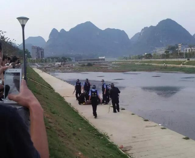 这是什么情况，吓死人鸟 - 靖西市·靖西网