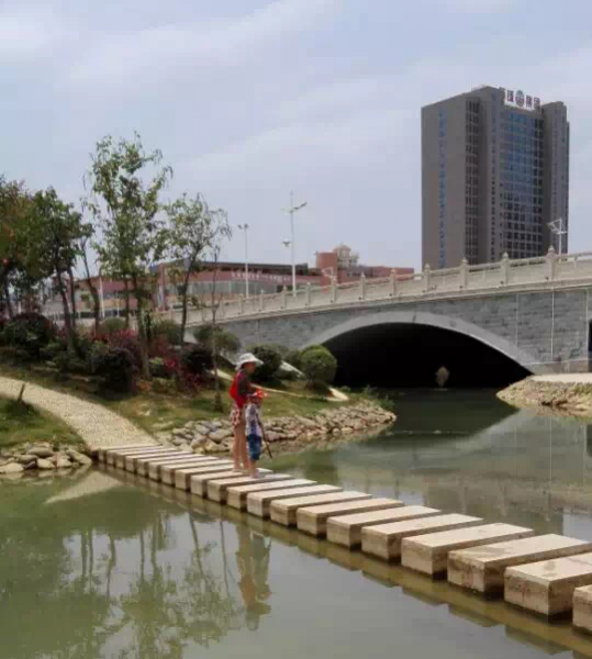 没想到龙潭湿地公园还能捞出这么大的鱼 - 靖西市·靖西网