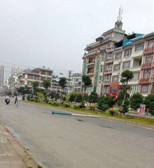 今早风真有这么大吗？！！！！ - 靖西市·靖西网