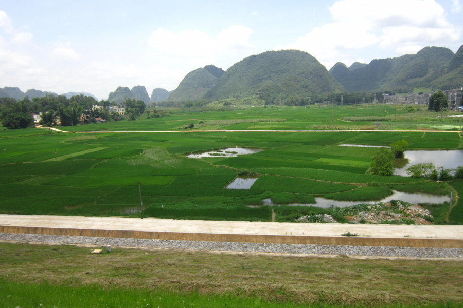 夏天要来了，你说渠洋湖这风景美吗 - 靖西市·靖西网