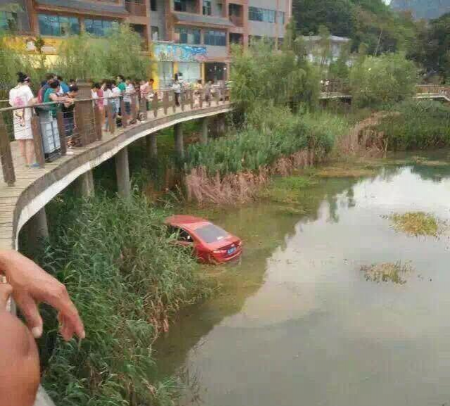 靖西太热？车都开进湿地公园水中去游泳 - 靖西市·靖西网