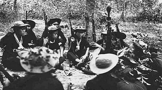 对越反击战：越南女兵的尸体成战争法宝（2） - 靖西市·靖西网