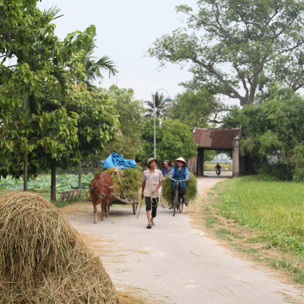 来两张越南比较高档的农村生活图片 - 靖西市·靖西网