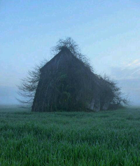 最近流传着人类灭绝后，地球将变这样。别样的凄美！ - 靖西市·靖西网