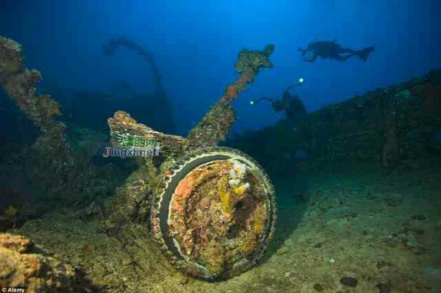 最近流传着人类灭绝后，地球将变这样。别样的凄美！ - 靖西市·靖西网