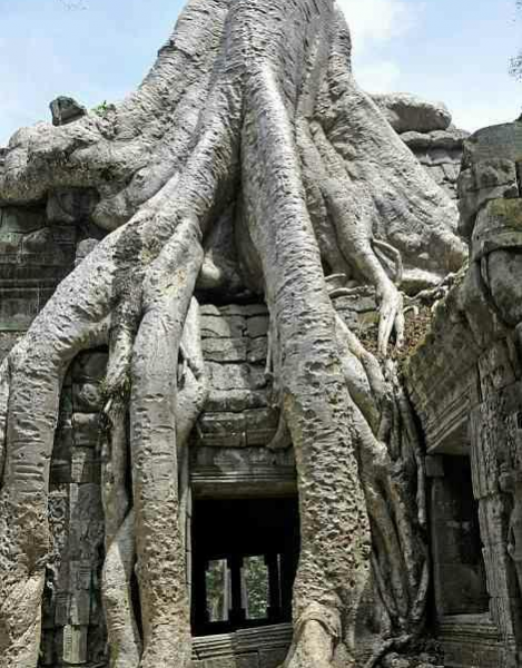 最近流传着人类灭绝后，地球将变这样。别样的凄美！ - 靖西市·靖西网