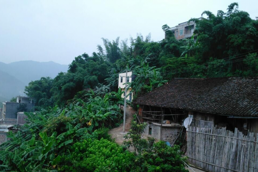 你所不知道的靖西美丽的那些村 - 靖西市·靖西网
