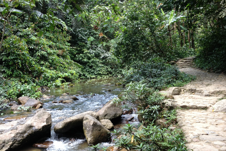 雨后望山--靖西县那些村 - 靖西市·靖西网