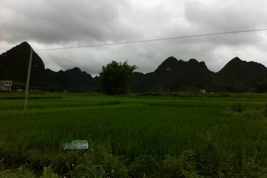 鹅泉风景，风景中的别墅，路过偷拍几张 - 靖西市·靖西网