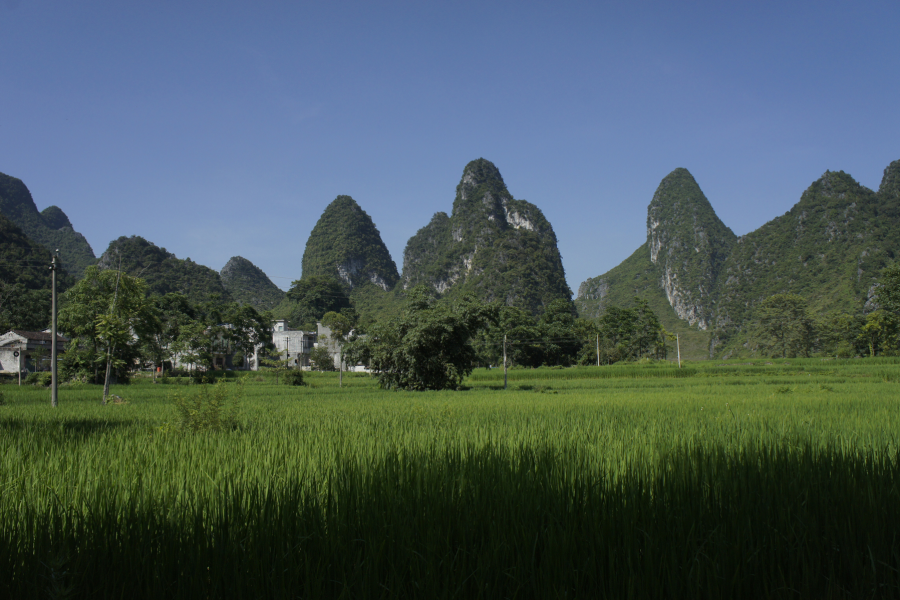 美丽的靖西，靖西旅游最佳季，爱布、二郎瀑布、十九渡桥风景大片 - 靖西市·靖西网