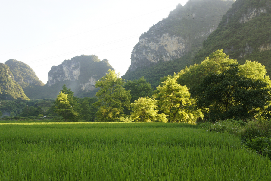 美丽的靖西，靖西旅游最佳季，爱布、二郎瀑布、十九渡桥风景大片 - 靖西市·靖西网