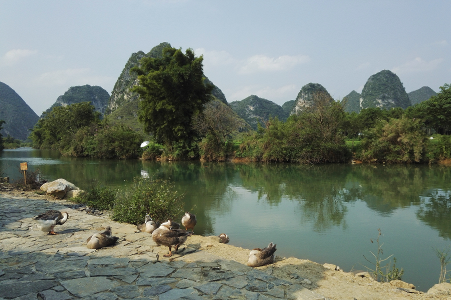 旧州风景，华为荣耀7拍照效果，给大家参考一下。 - 靖西市·靖西网