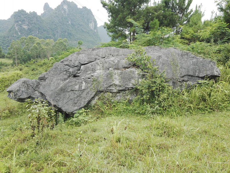 靖西武平镇凌结村的穿山隧洞和大石山龟，像吗？ - 靖西市·靖西网