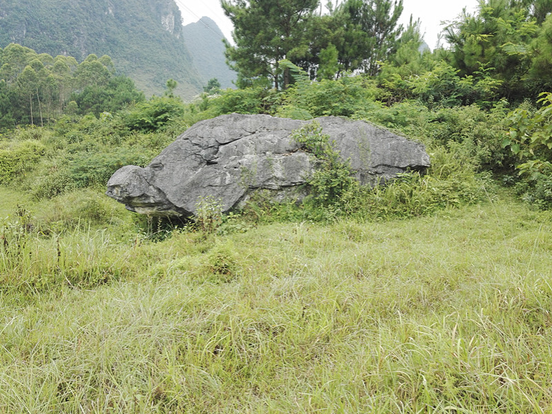 靖西武平镇凌结村的穿山隧洞和大石山龟，像吗？ - 靖西市·靖西网