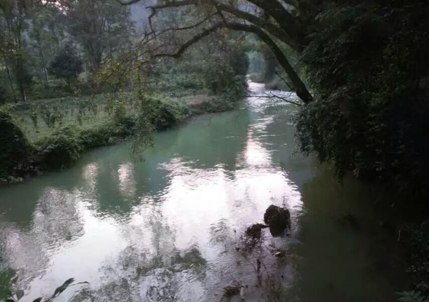 老家小桥流水人家，记忆里的童年里盛着精致 - 靖西市·靖西网