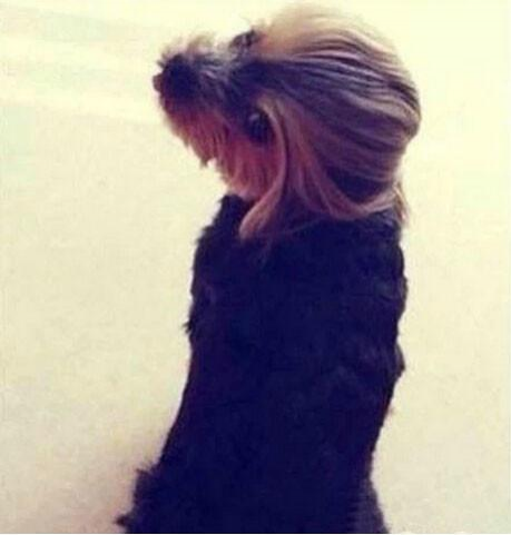 男人看看这些就是你心目中的网友女神！有图有真相 - 靖西市·靖西网