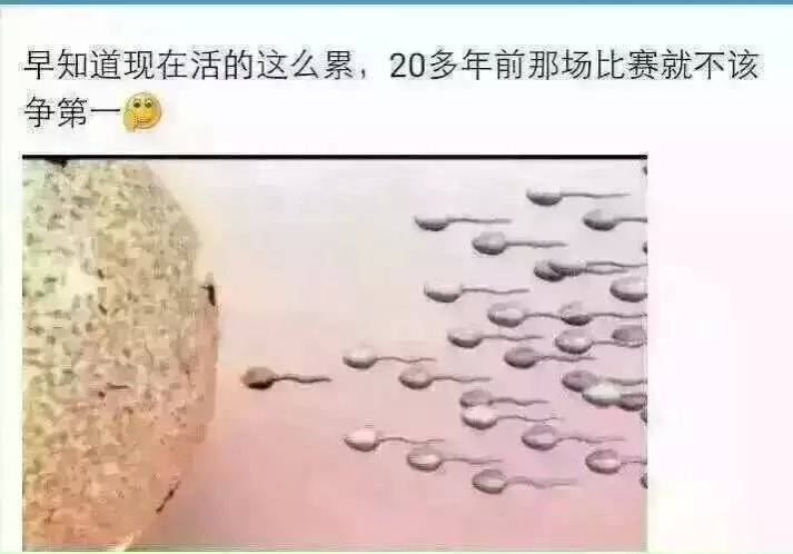 上班累，干活也累，做什么都累 - 靖西市·靖西网