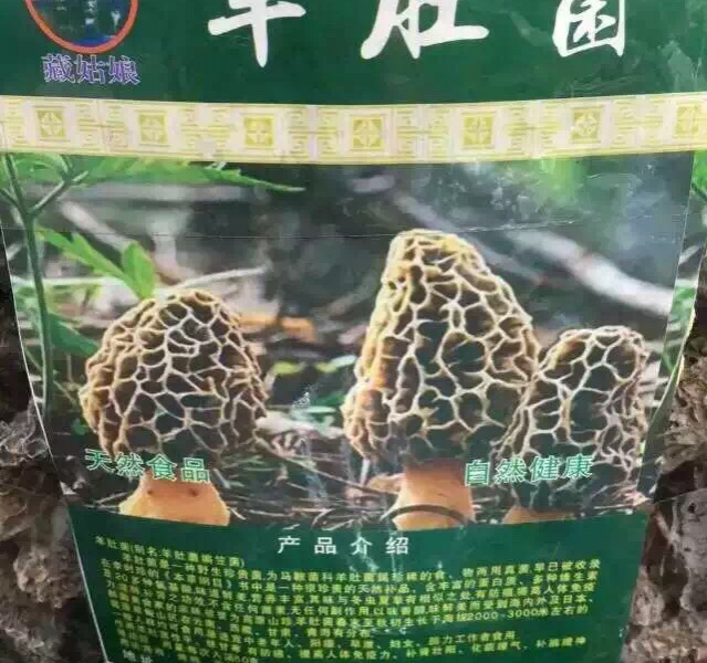 都是上好的药材 - 靖西市·靖西网