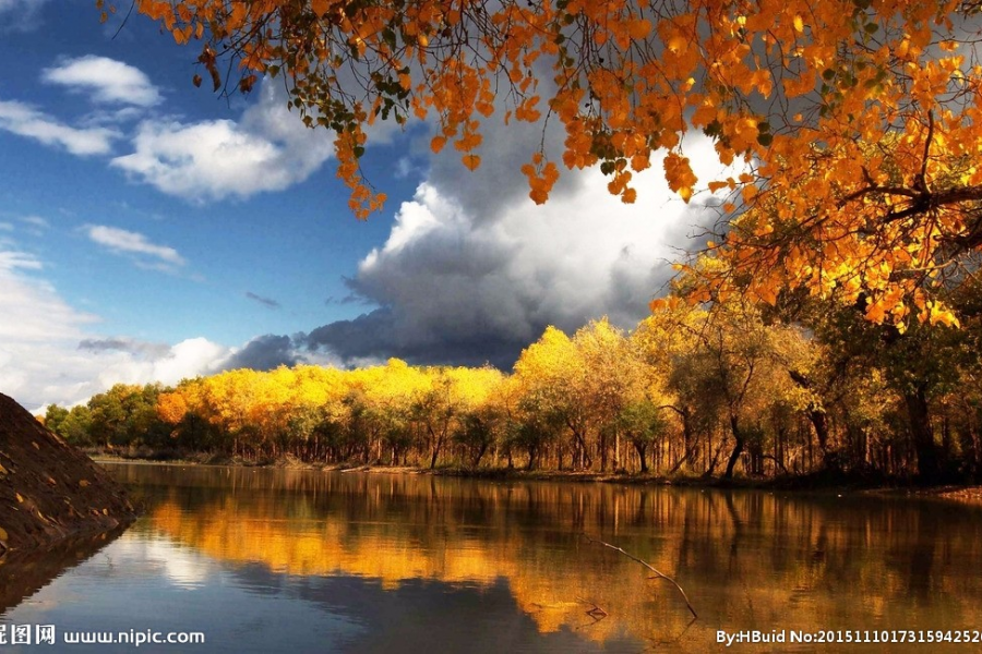 最平价承接幼儿园墙体绘画 - 靖西市·靖西网
