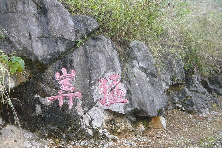 驴友沿边骑行的必经之路 - 靖西市·靖西网