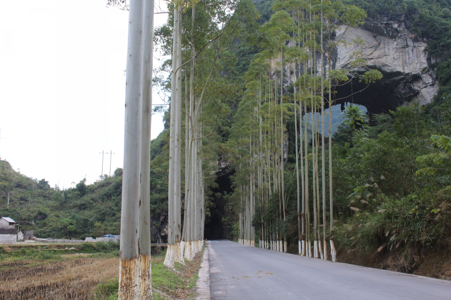 靖西安德镇照阳关一游 - 靖西市·靖西网