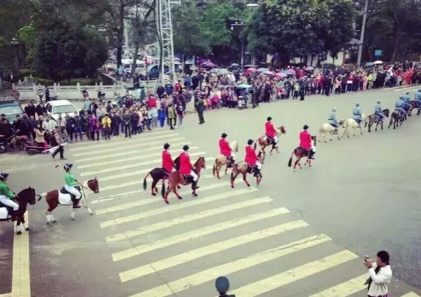 德保矮马上路 - 靖西市·靖西网