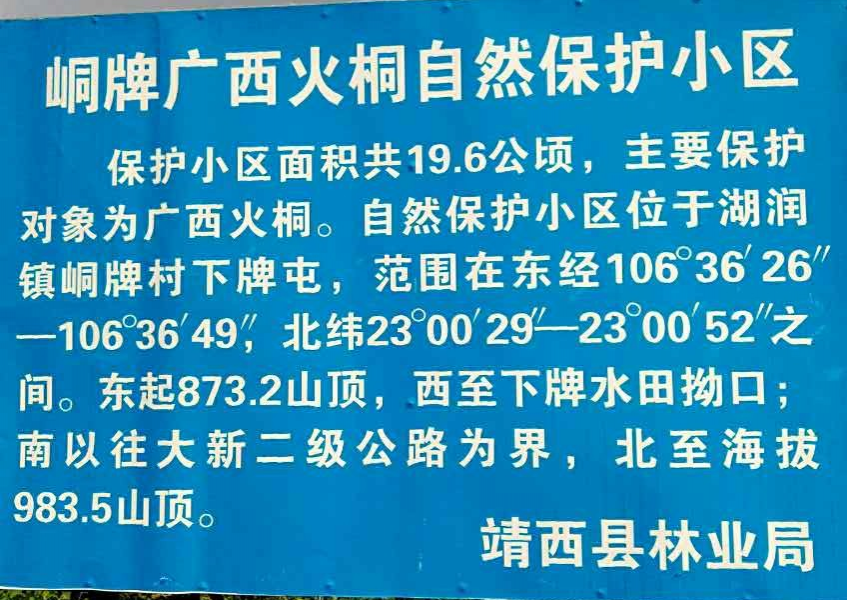 双12靖西就要变市了，请问靖西市有市花吗？你们认为什么花可以配. - 靖西市·靖西网