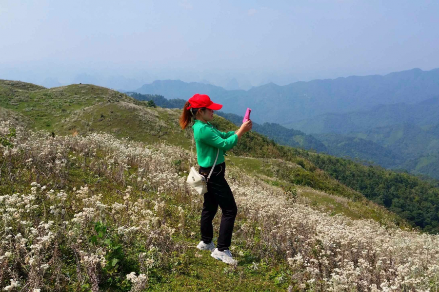 靖西同德乌鸦山- 小小高原景迷人 - 靖西市·靖西网