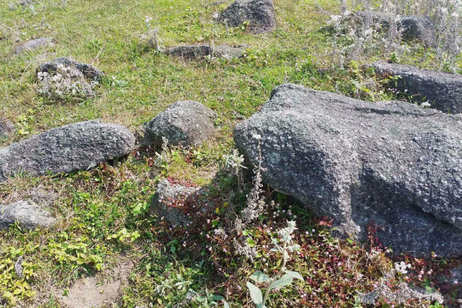 靖西同德乌鸦山- 小小高原景迷人 - 靖西市·靖西网