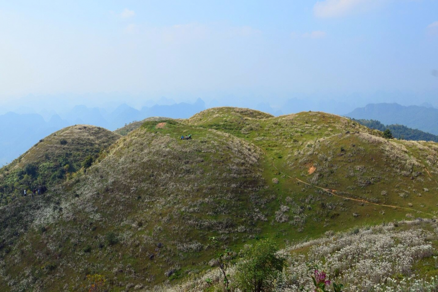 靖西同德乌鸦山- 小小高原景迷人 - 靖西市·靖西网