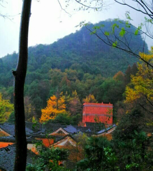 细雨纷飞，我不知道村落可以拍的这么美。 - 靖西市·靖西网