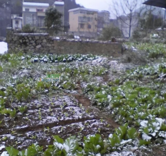 隆林同学一早起来就抖我，百色隆林县德峨乡今天下雪了 - 靖西市·靖西网