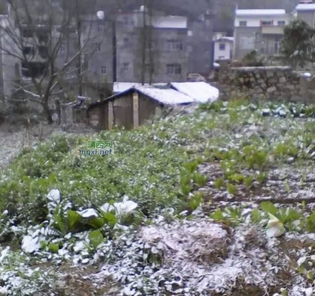 隆林同学一早起来就抖我，百色隆林县德峨乡今天下雪了 - 靖西市·靖西网