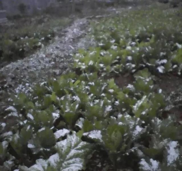 隆林同学一早起来就抖我，百色隆林县德峨乡今天下雪了 - 靖西市·靖西网