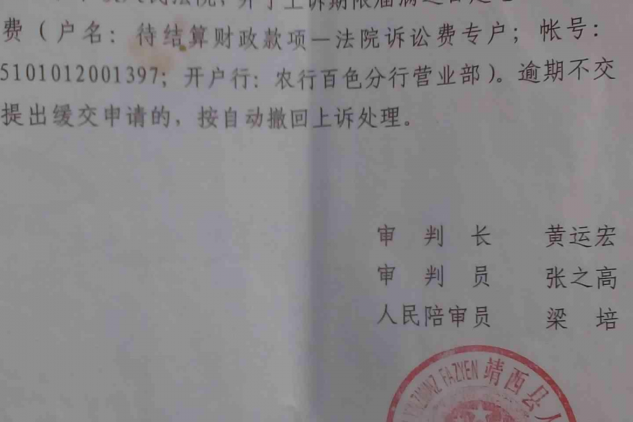 广西百色靖西市副书记陆伟等违法强拆祸国殃民<附证据> - 靖西市·靖西网