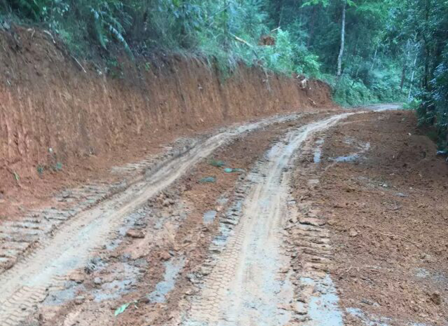 村里修路了，过年回家能走上水泥路吗？ - 靖西市·靖西网