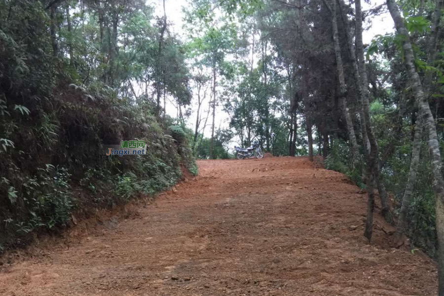 村里修路了，过年回家能走上水泥路吗？ - 靖西市·靖西网