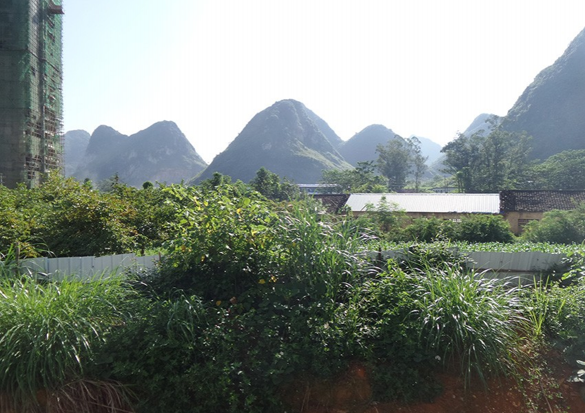 一直关注德爱的发展，发一组春节时候回家拍的图 - 靖西市·靖西网