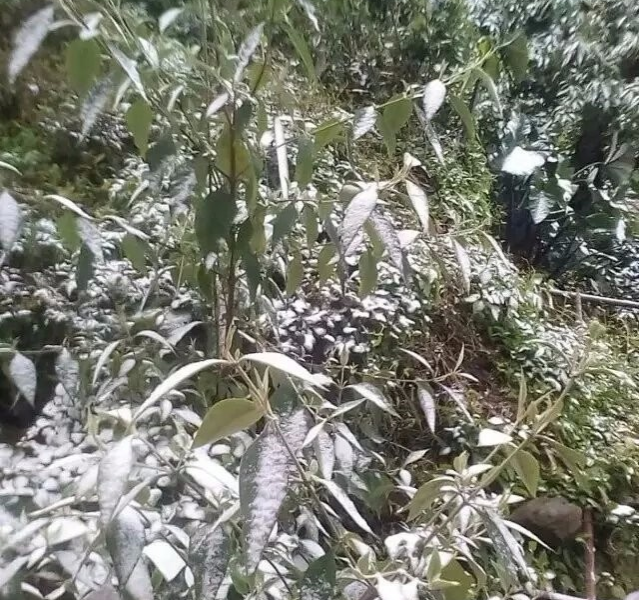 靖西下雪了，满城风雪 - 靖西市·靖西网