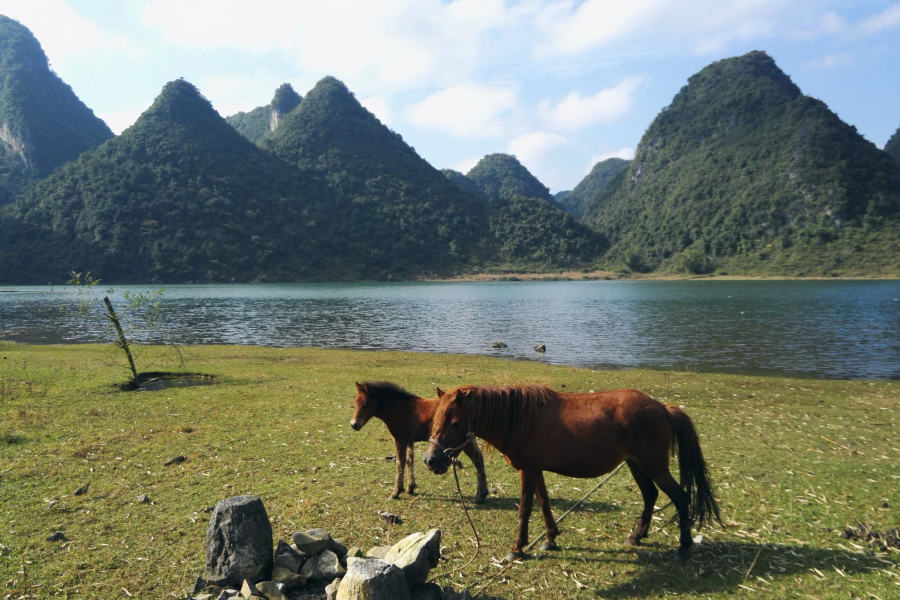 碧波荡漾，峰峦垂悬，靖西市和德保县共同的骄傲，念诺湖（念诺水库）风光。 - 靖西市·靖西网