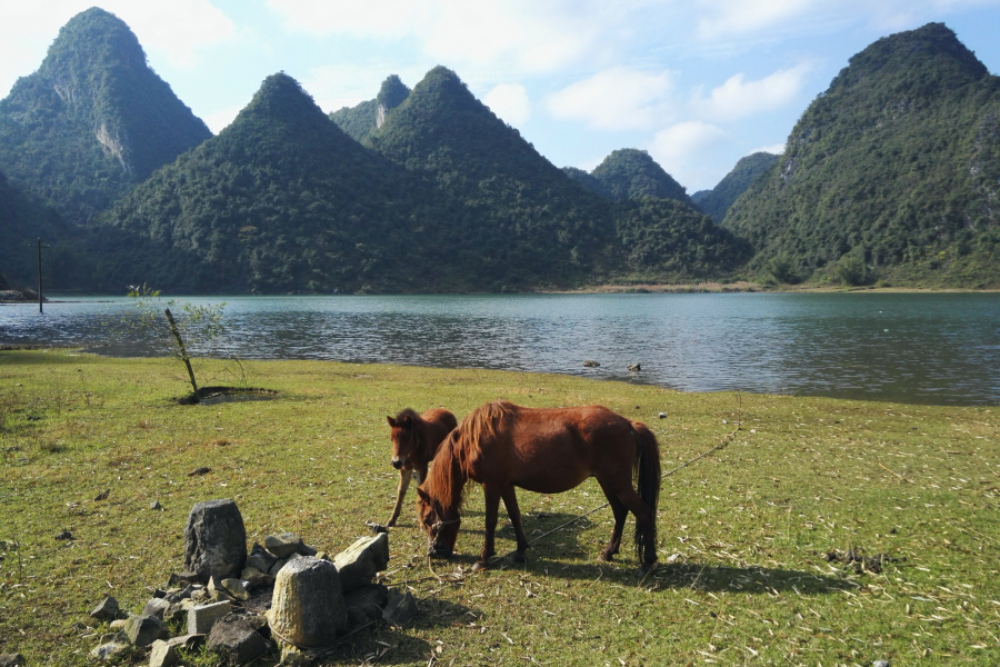 碧波荡漾，峰峦垂悬，靖西市和德保县共同的骄傲，念诺湖（念诺水库）风光。 - 靖西市·靖西网